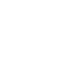 icon1